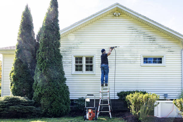Best Affordable Pressure Washing  in Sheffield, IA